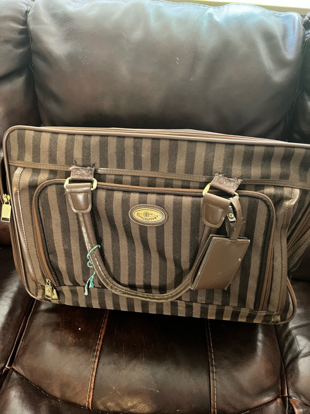 Brown Striped Men's Destination Travel Luggage